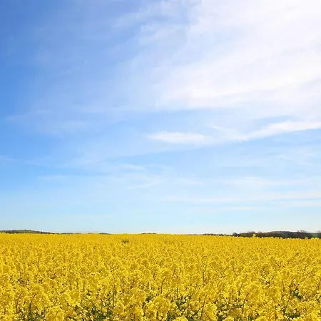 Apartmán Haus Blick Zur See Ferienwohnung 13 Mit Sauna- Und Schwimmbadnutzung Im Ahoi Sellin