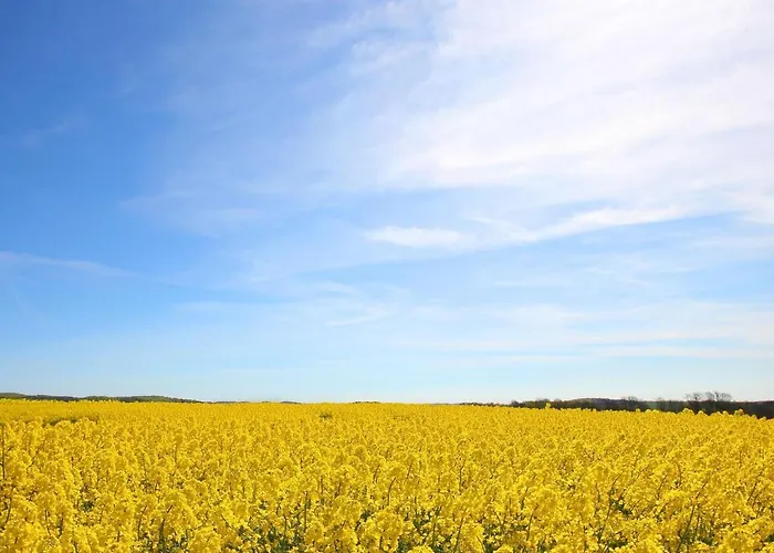 Apartman Haus Blick Zur 13 Mit Sauna- Und Schwimmbadnutzung Im Ahoi Sellin